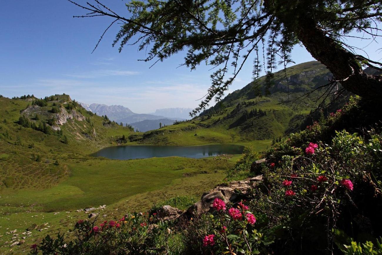 Naturhotel Huettenwirt Im Grossarltal Huttschlag Bagian luar foto